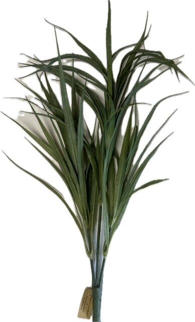 Silk Fountain Grass Bush