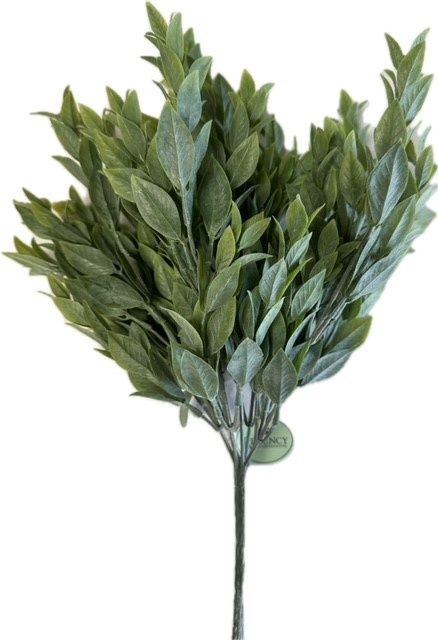 Ruscus Bushx7 15&quot; Green