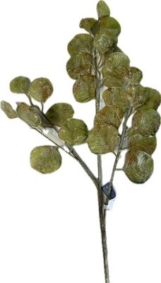 Eucalyptus Spray Green