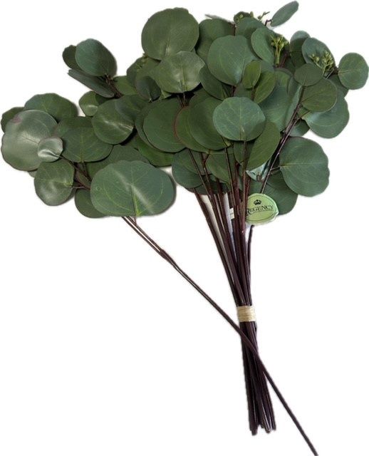 Silver Dollar Eucalyptus bundle