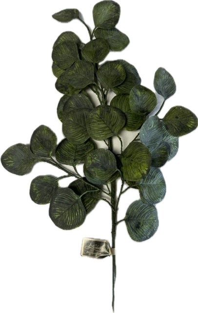 Eucalyptus Spray 25&quot; Green