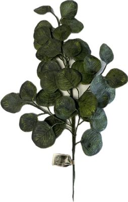 Eucalyptus Spray 25" Green
