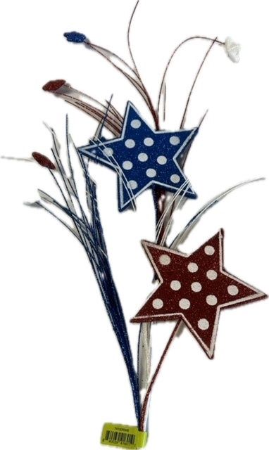 Star Spray with polka dots in Red white and blue