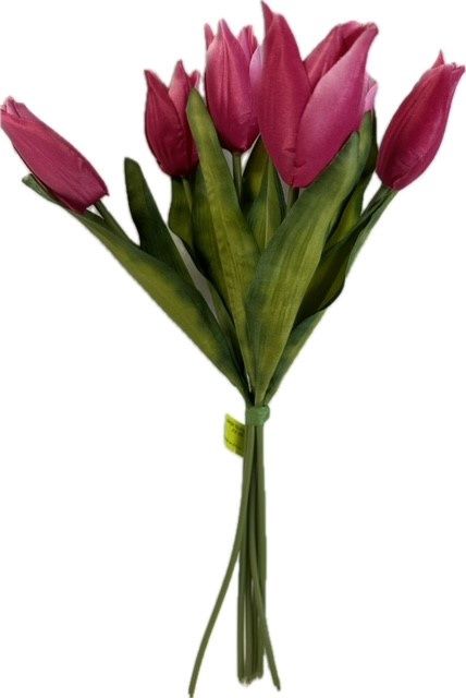 Tulip Bundle x6-Beauty