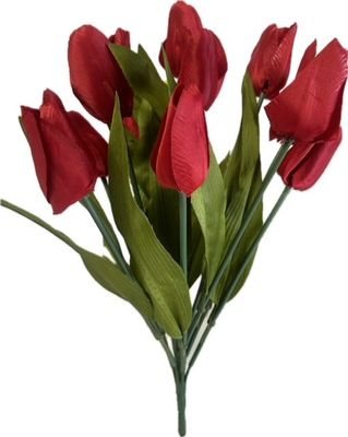 Tulip Bush x12 Red