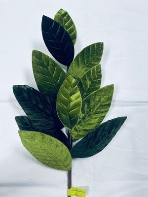 Velvet Mag Leaf Spray SP25