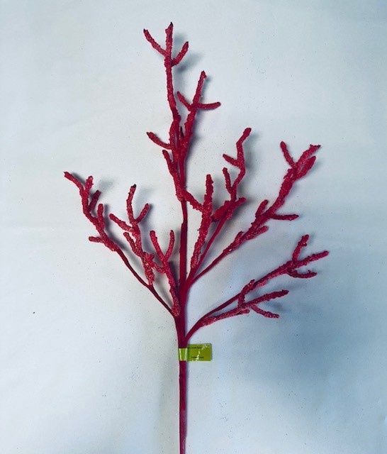 Fire Coral Spray in Coral