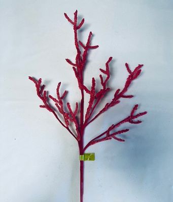 Fire Coral Spray in Coral