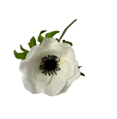 Anemone Stem 22&quot; Natural