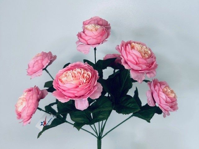 French Ranunculus Bush x9 Pink