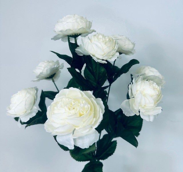 French Ranunculus Bush x9 Cream