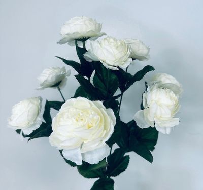 French Ranunculus Bush x9 Cream