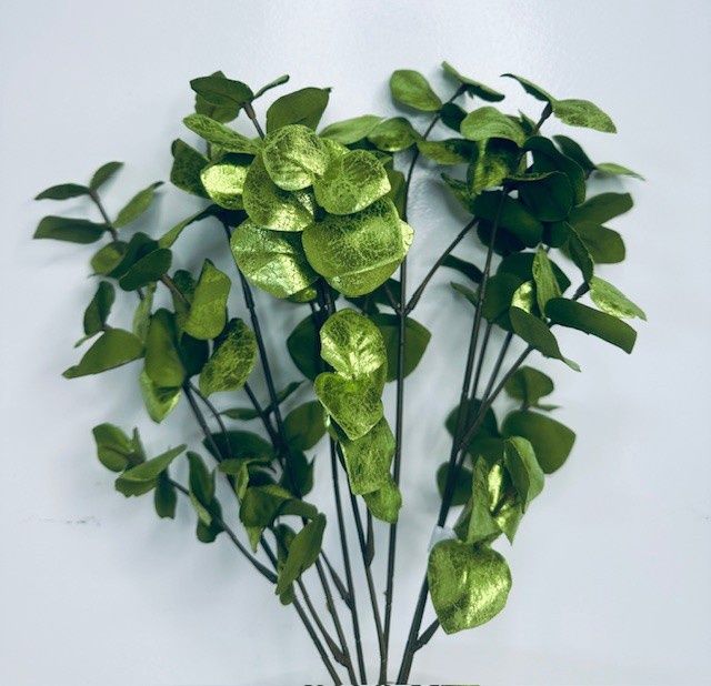 Green Eucalyptus Bush  with 7 stems