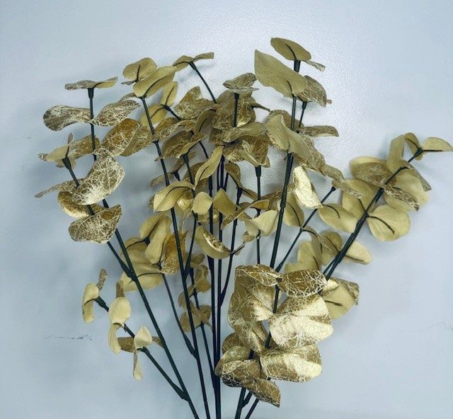 Gold Eucalyptus Bush x7