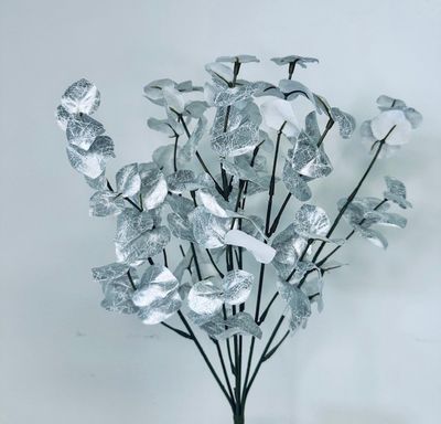 Silver Eucalyptus Bush x7