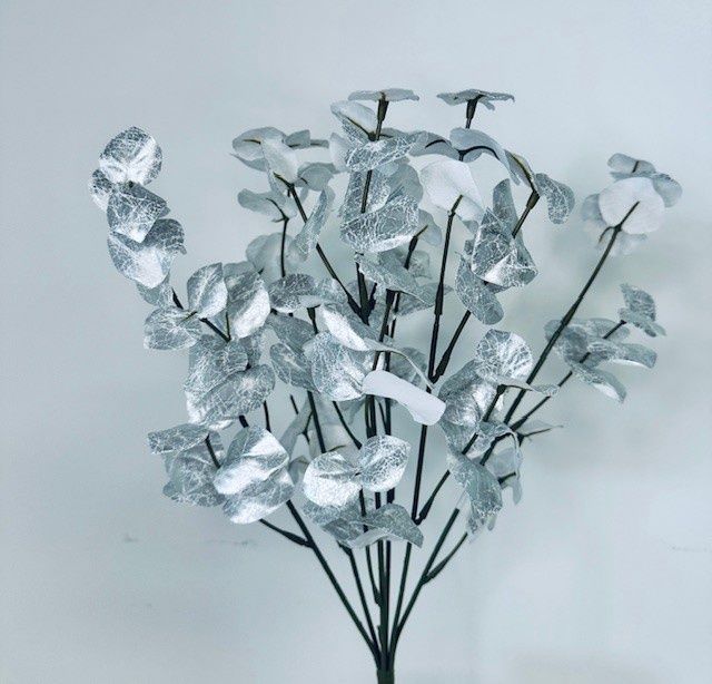 Silver Eucalyptus Bush x7