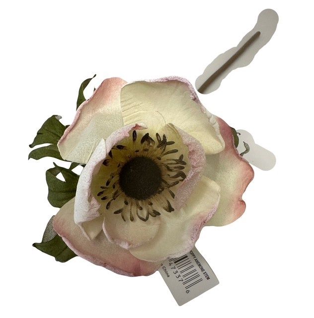 Dried Poppy Anemone Stem Mauve