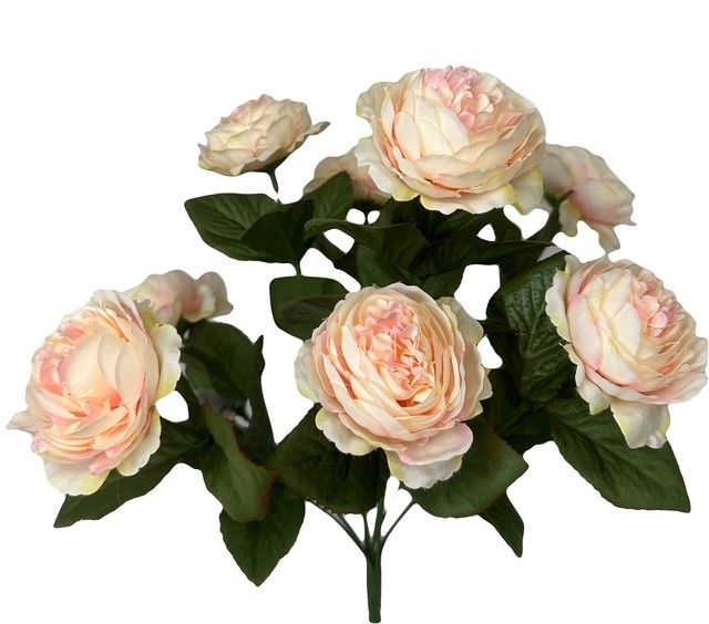French Ranunculus Bush Blush