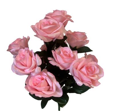 Lillian Open Rose Bush x12 Baby Pink