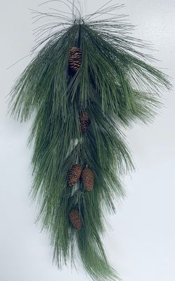 Cascade Pine Teardrop cone Grn