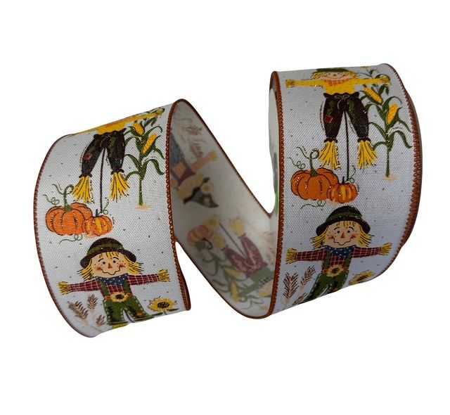 2.5&quot;x10Yds Scarecrow Ribbon