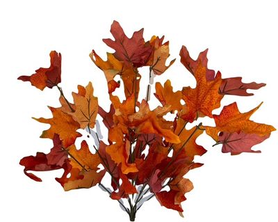 Sugar Maple Leaf bush x12 Flame/Orange