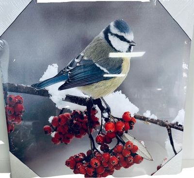 Picture of Finch holds batteries.