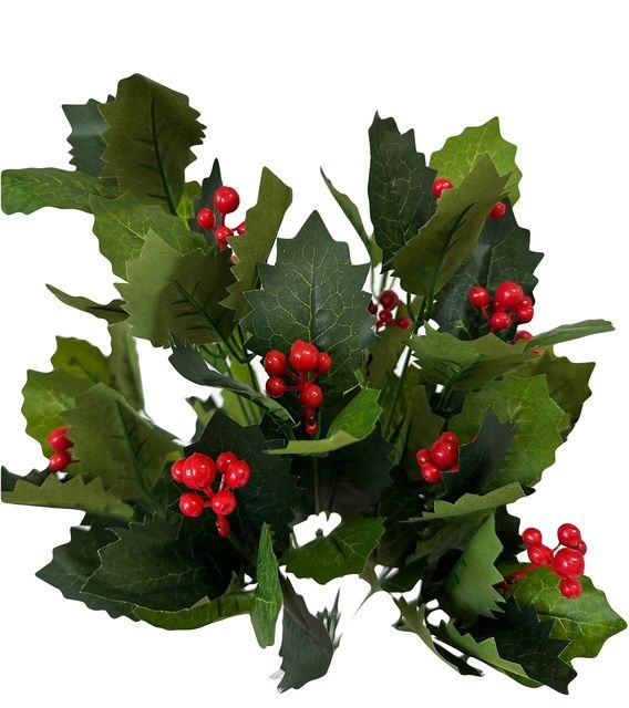 Green Holly Bush x14 with Berries