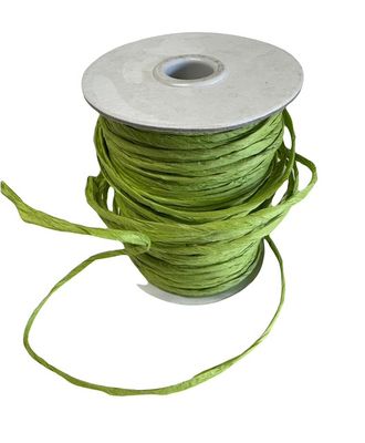 Wired Raffia 1/8" X 100 YDS in Citrus Green