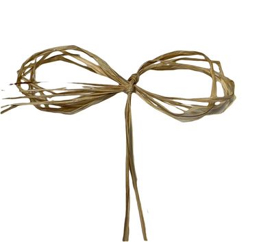 Raffia Ribbon