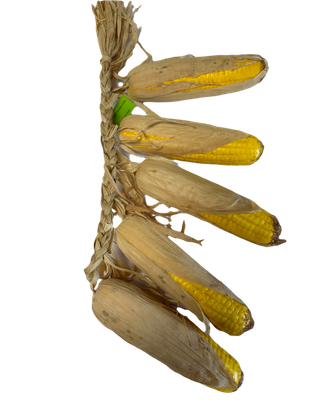 Corn Garland with 5 Yellow Ears of Corn