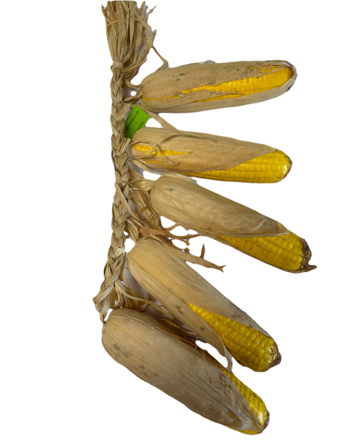 Corn Garland with 5 Yellow Ears of Corn