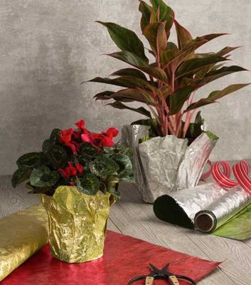 Foil Paper and Plastic Bags