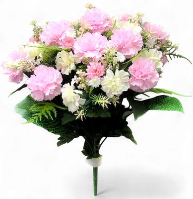 Baby Carnation Bush x 16 Light Pink