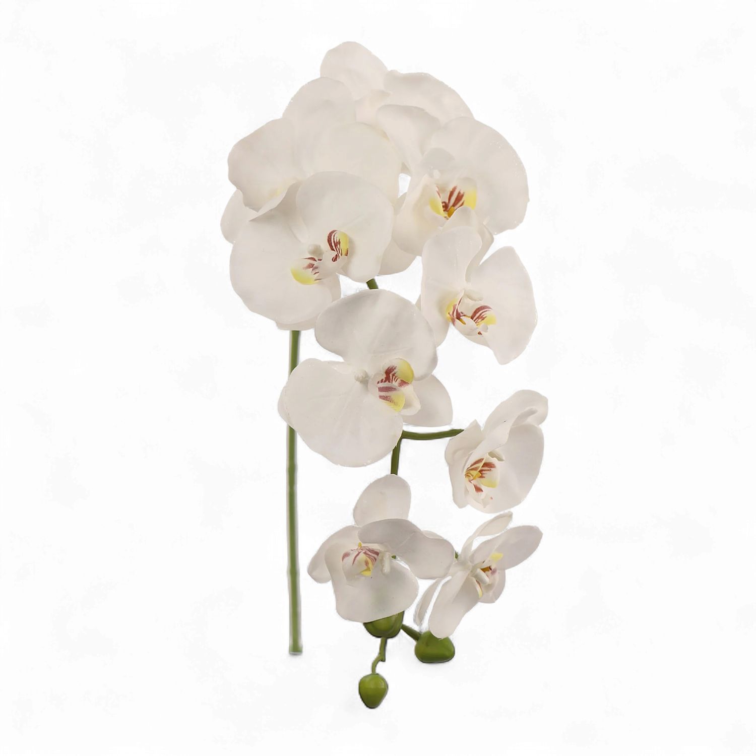 Phalaenopsis Orchid Stem in White 33.5"