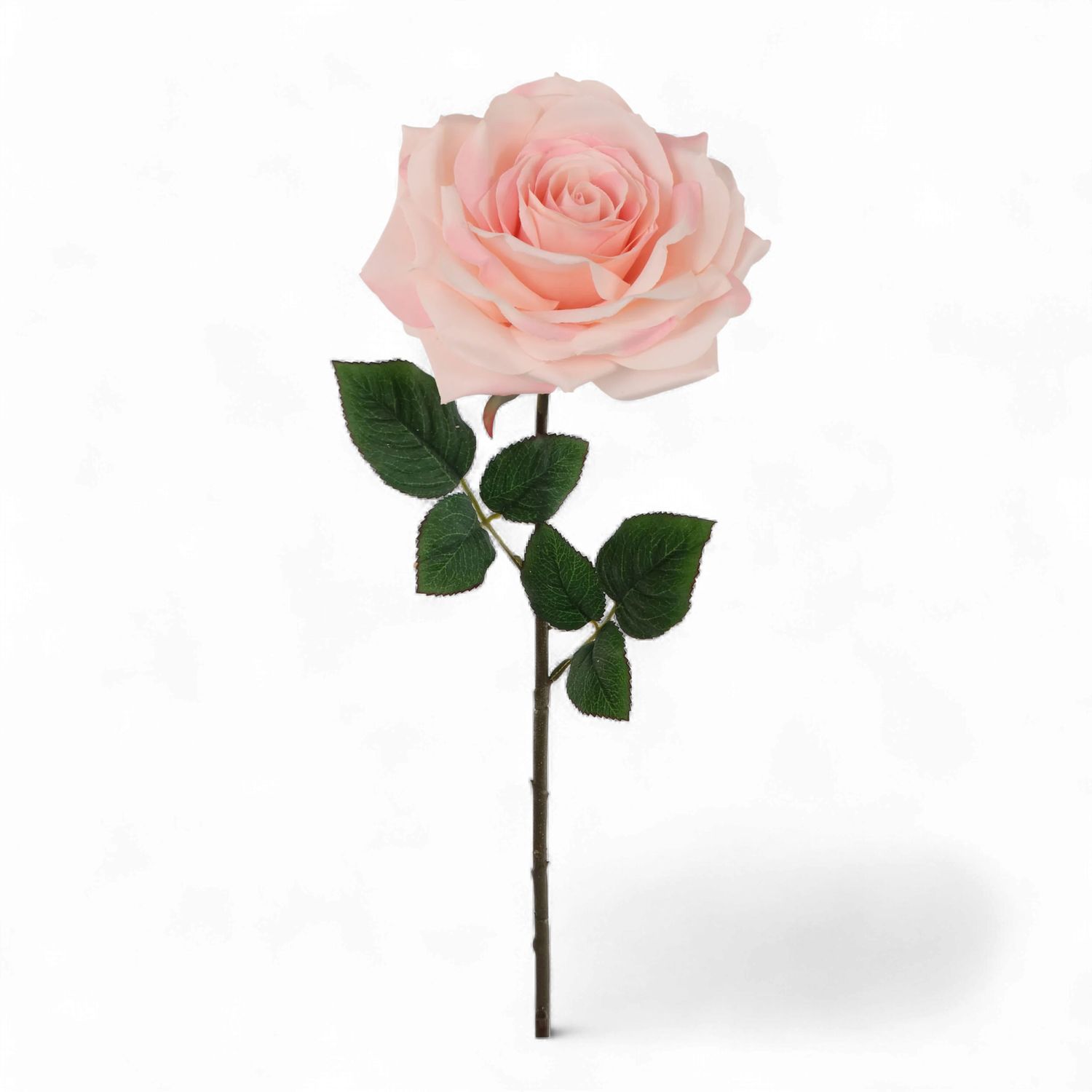 Open Rose 20" Pink