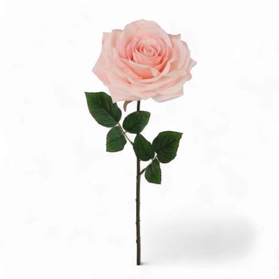 Open Rose 20" Pink
