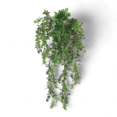 24" Tea Leaf Vine x147