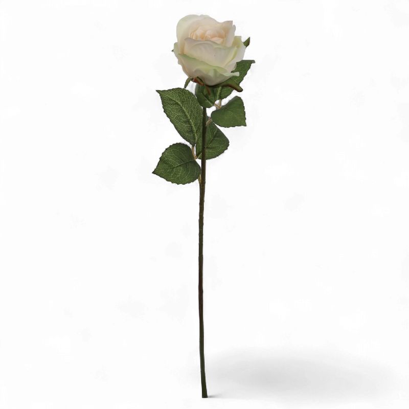 Rose Bud 20" Champagne