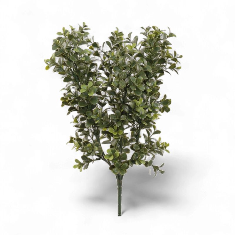 Boxwood Bush 17" Tall-Green