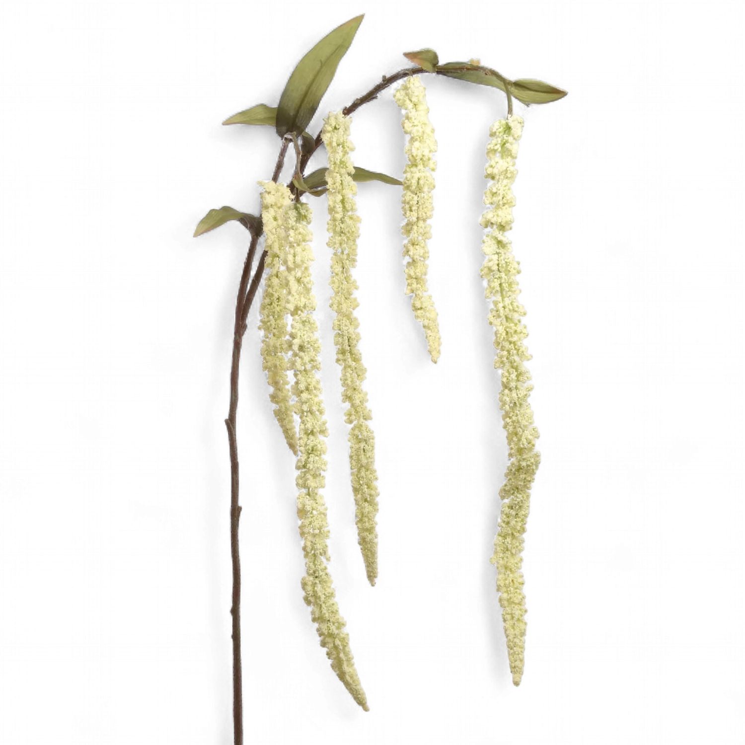 32" Hanging Amaranthus Spray in Cream