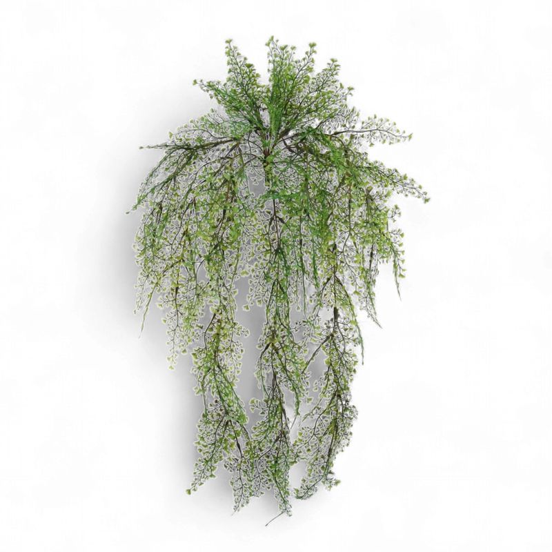 Maidenhair Fern Bush