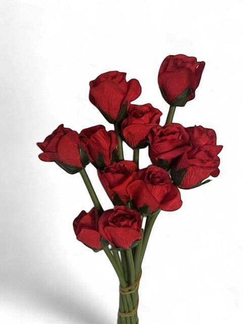 Rose Bud Bouquet in Red  x12