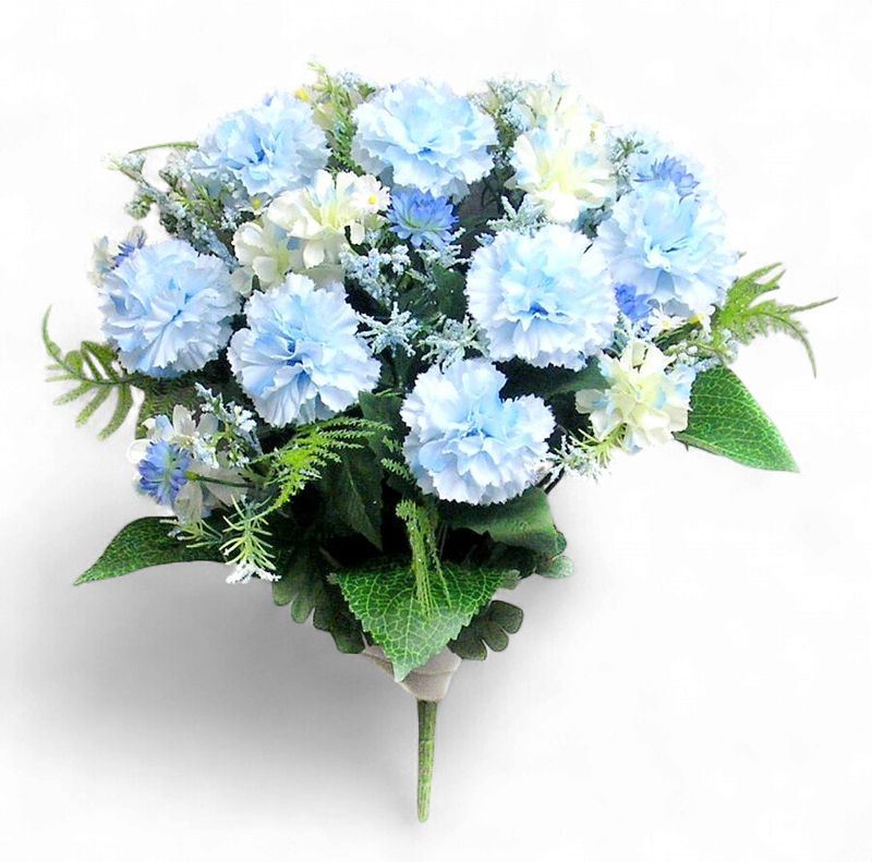 Baby Carnation Bush X 16 Light Blue
