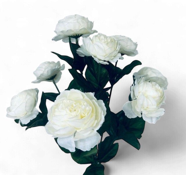 French Ranunculus Bush x9 Cream