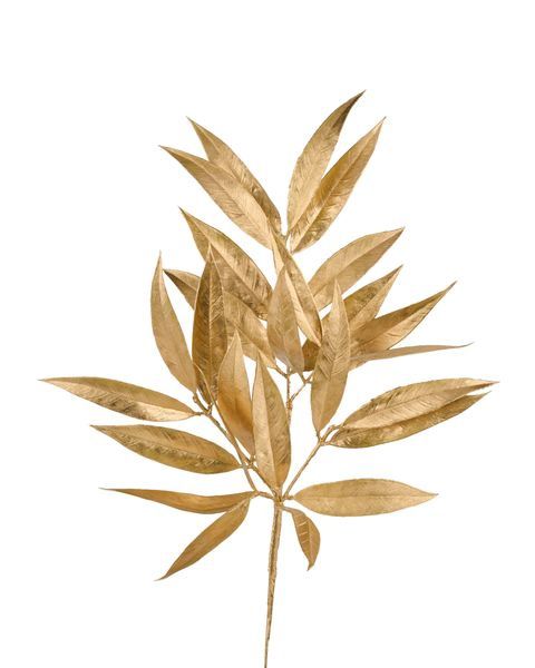 White Willow Leaf Spray in Gold 23"
