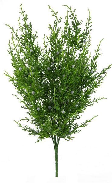 Oregon Juniper Bush 21" H TT Green