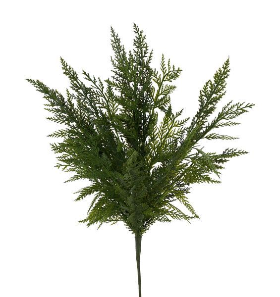Cypress Bush 24" Green