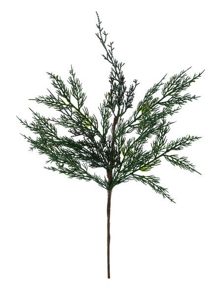 Cedar Spray 20" Green
