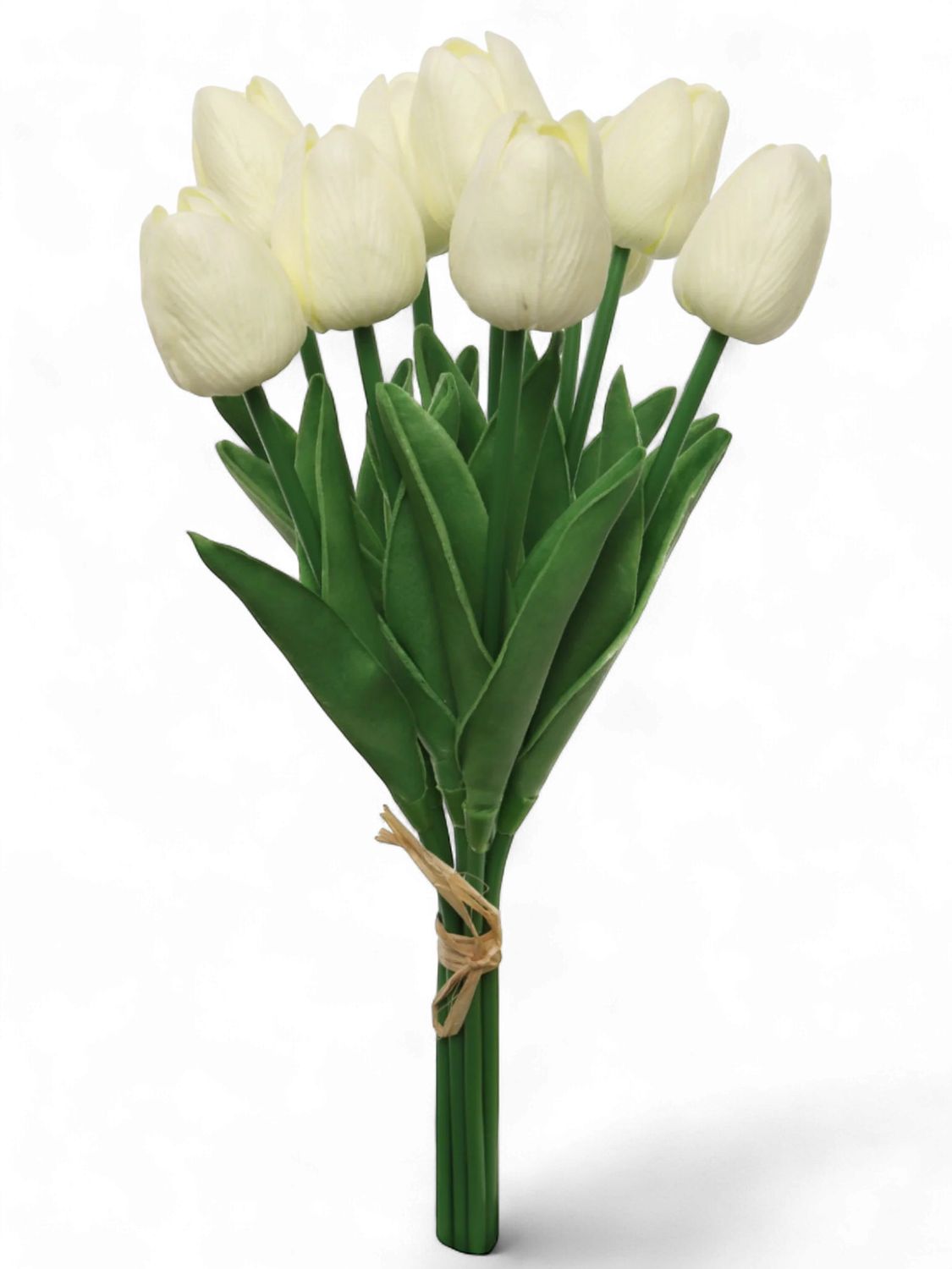 Tulip Bundle x9 Cream 13"